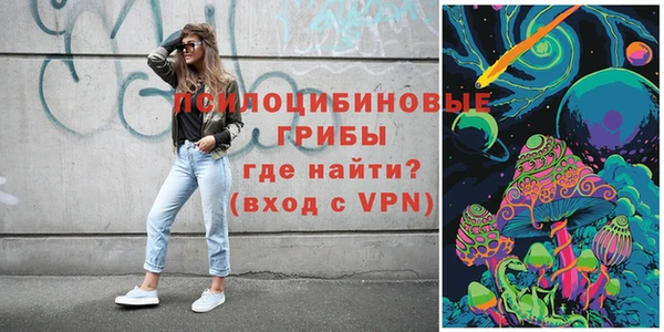 PSILOCYBIN Абдулино