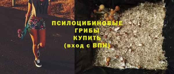 СК Алзамай